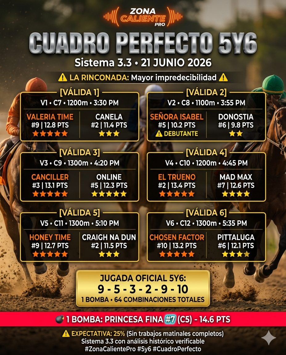 Cuadro Perfecto 5Y6 Rinconada
